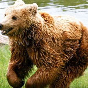 Meet your Posher, Bryant